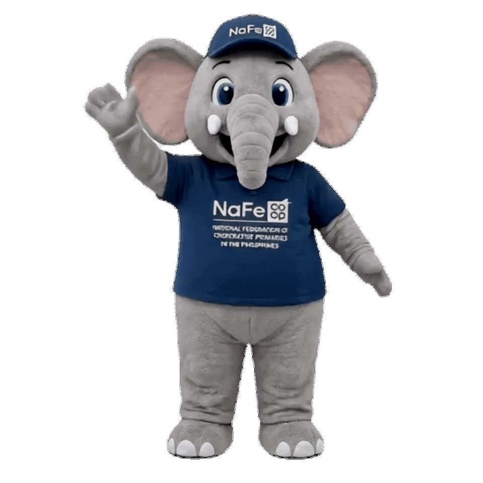 NaFe Coop Mascot